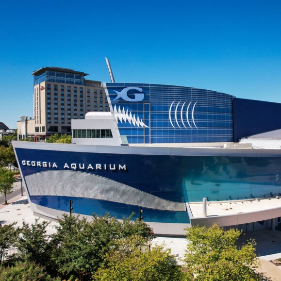 Georgia Aquarium, Atlanta, Georgia